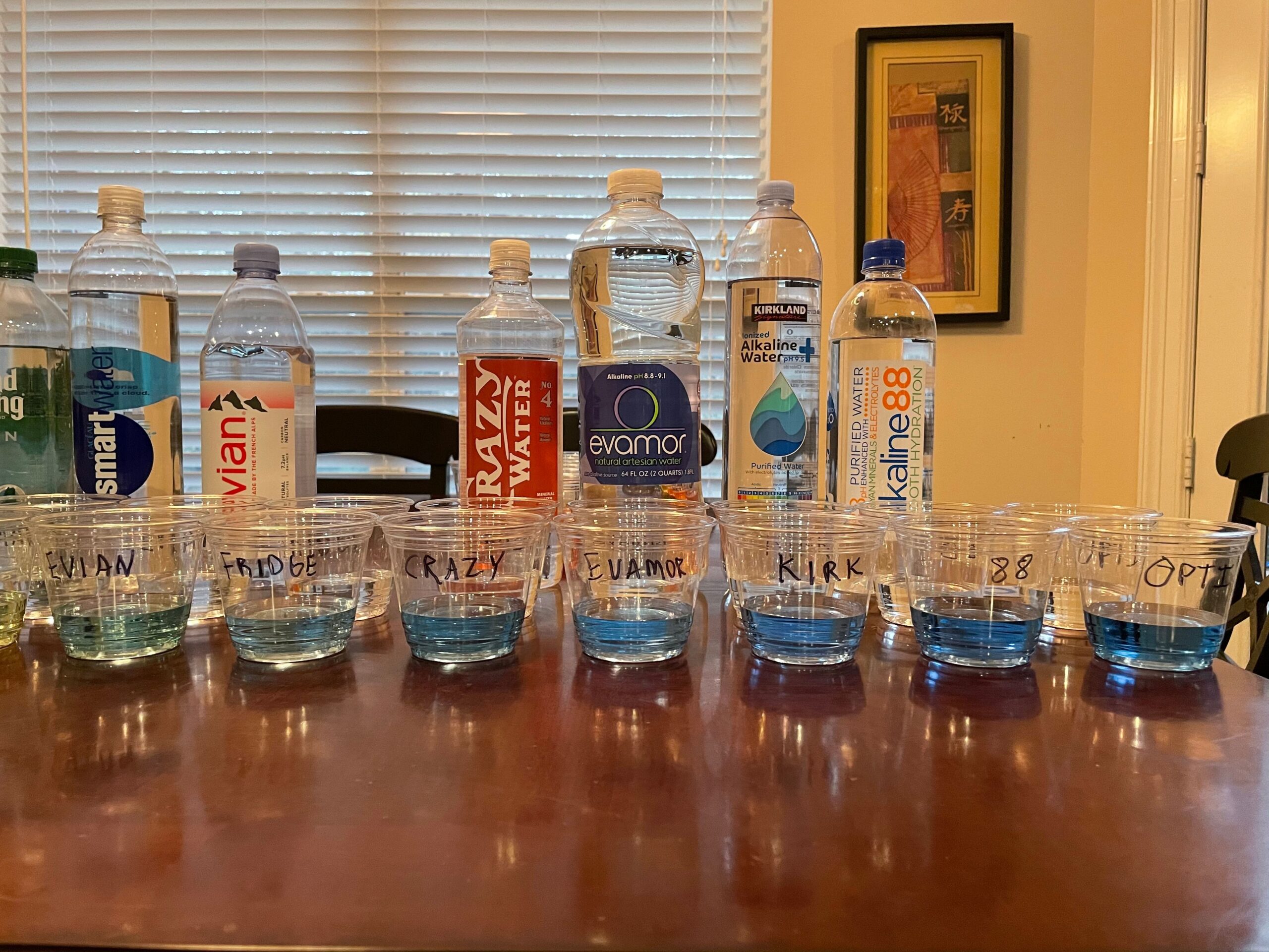 Alkaline Water Filter vs Bottled Water Comparison 365 Driven
