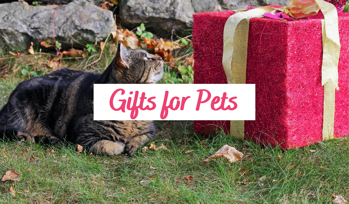 gifts for pets 365 Gift Guide