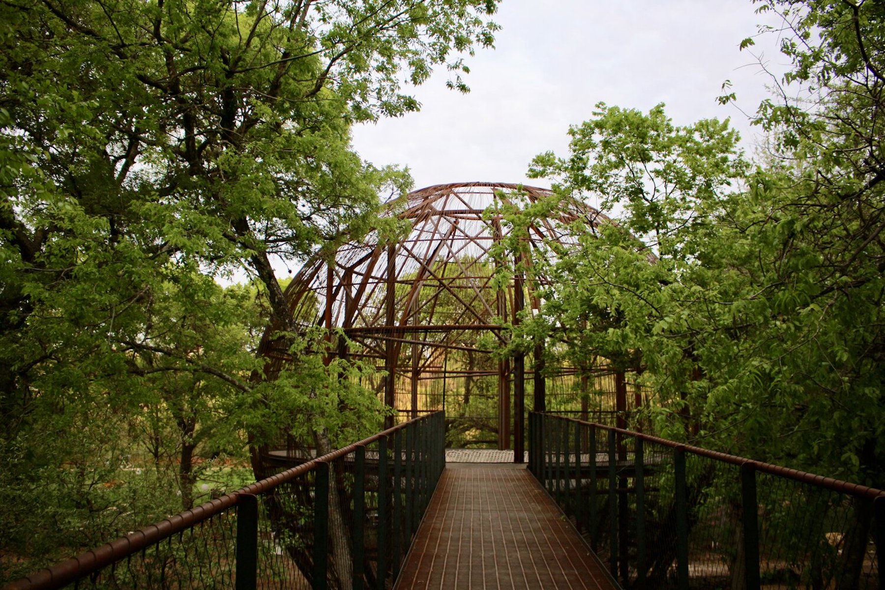 Southern Lights At Pease Park 365 Things Austin
