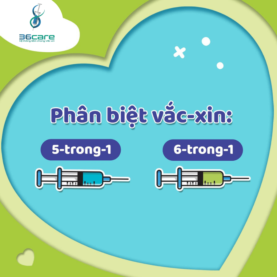 Vắc xin 6in1 và 5in1 khác gì nhau?Nên tiêm loại nào 36care