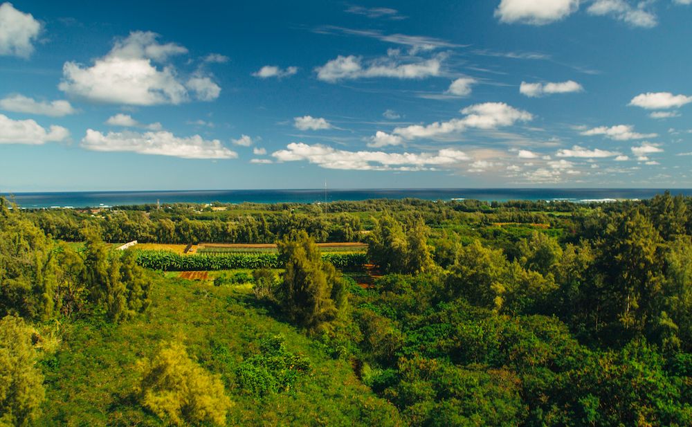 Your Guide to the Weather in Oahu All Year Round