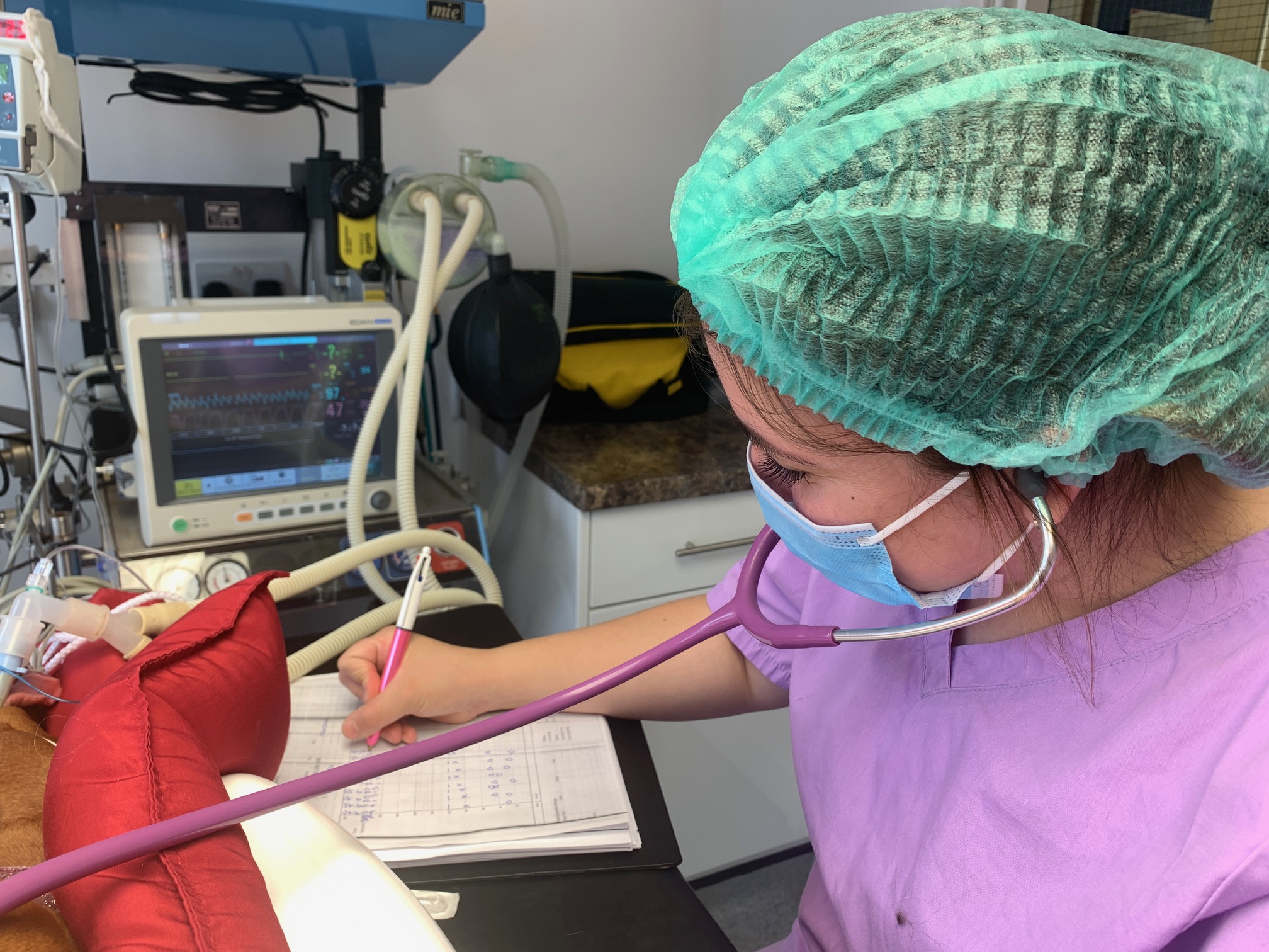 We love our veterinary nurses! 387 Vets