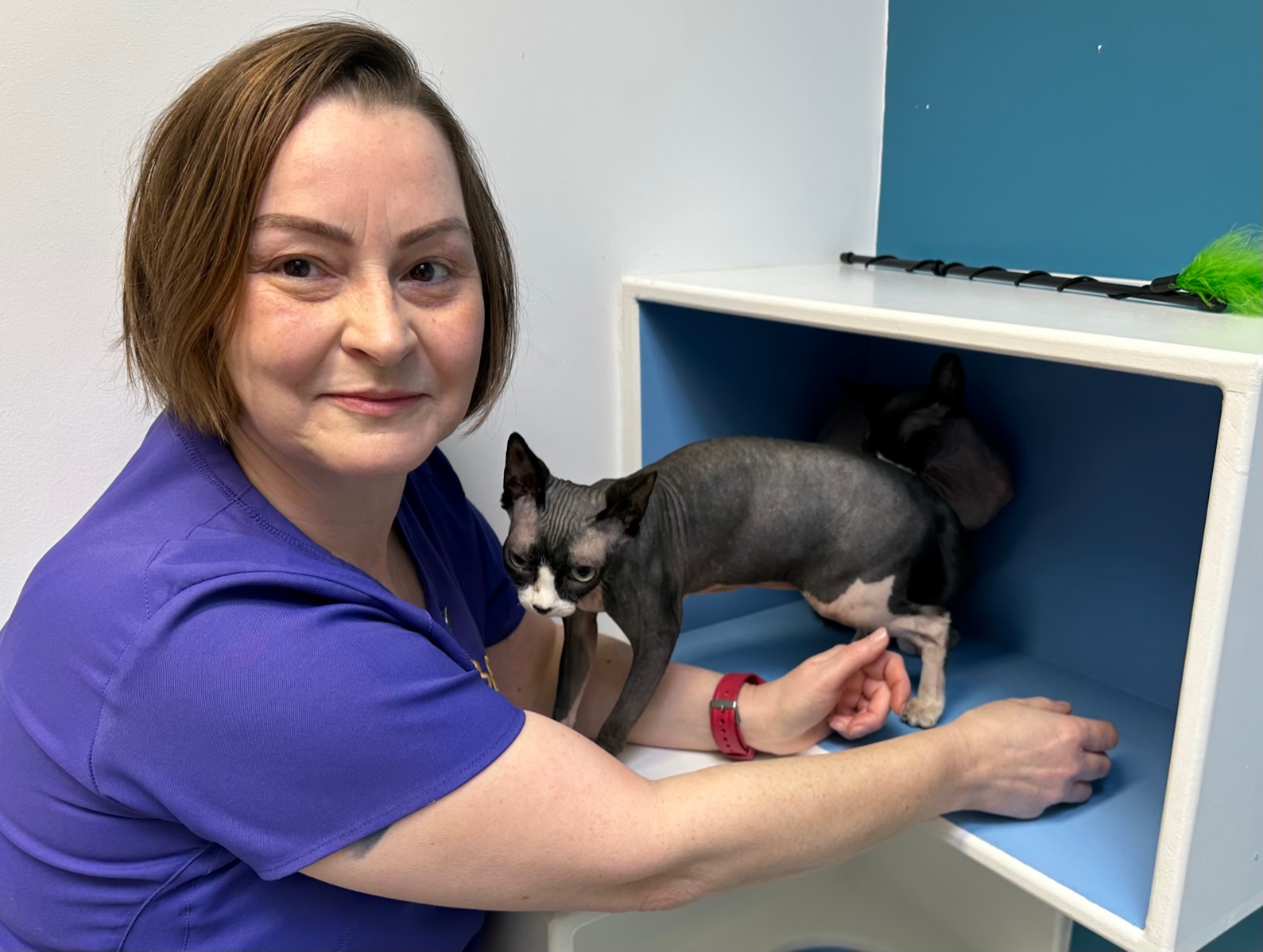 Vet nurses and their clientfacing role 387 Vets