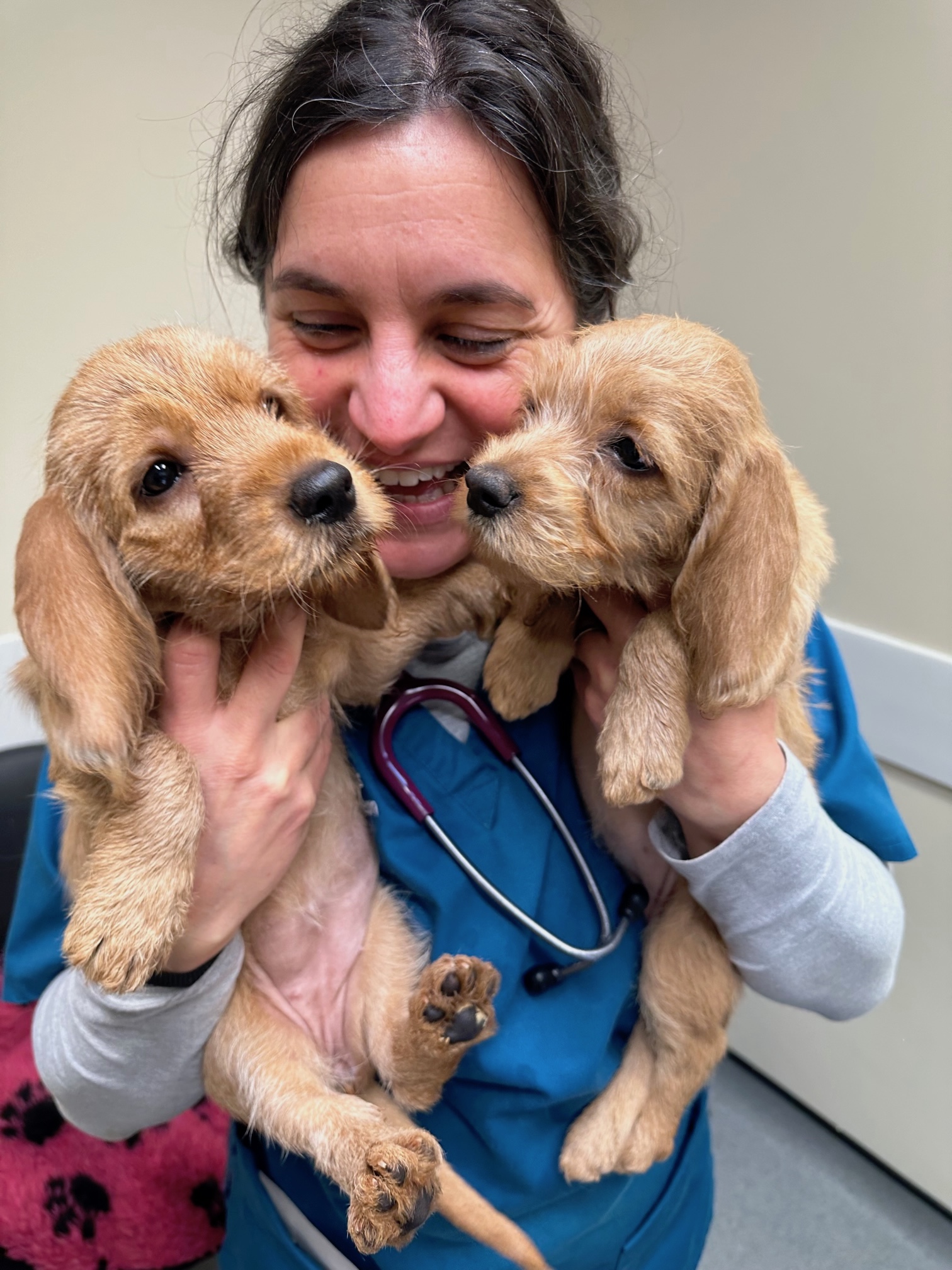 Happy days! 387 Vets