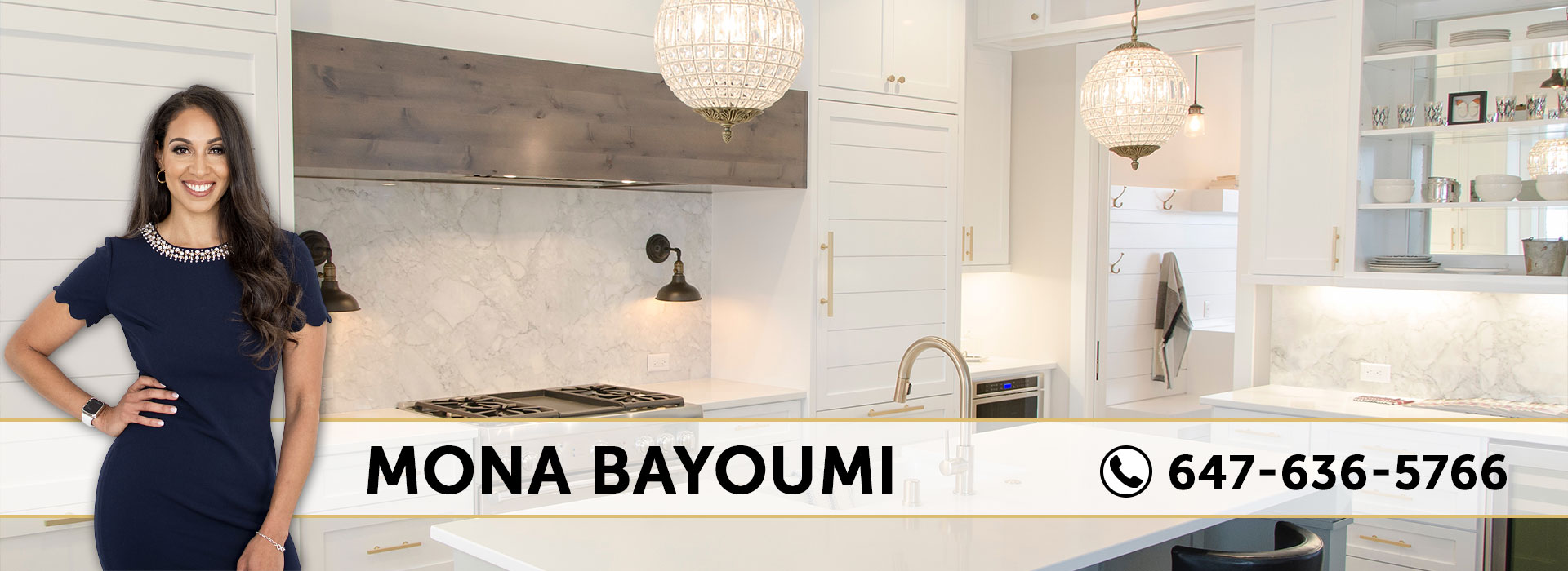 Homes For Sale Mona Bayoumi Real Estate