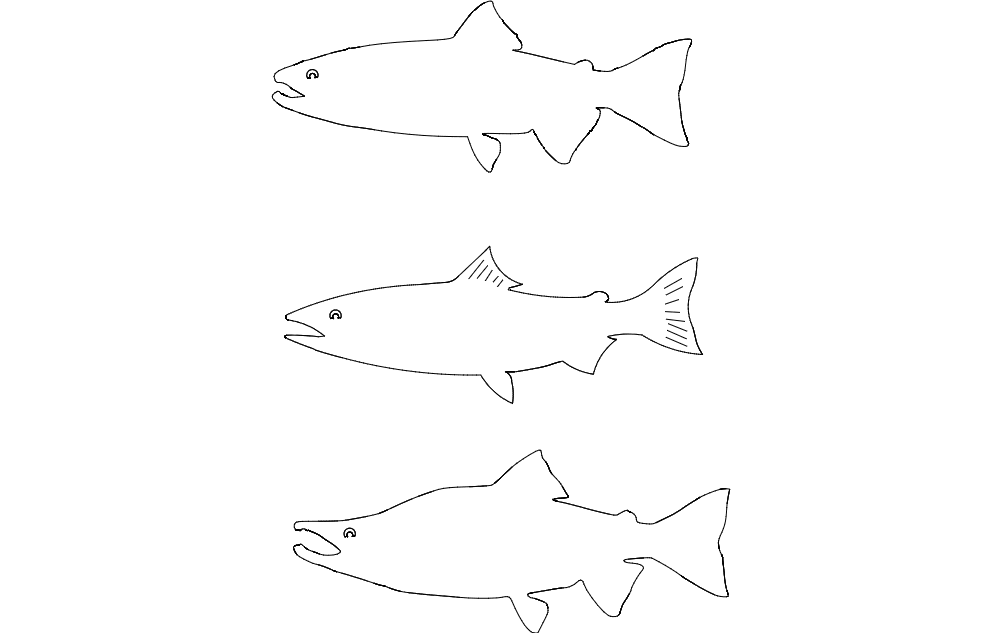 Kokanee salmon dxf File Free Download 3axis.co