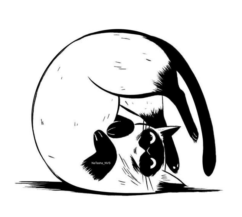 Fat Cat Vector Art Free Vector cdr Download 3axis.co