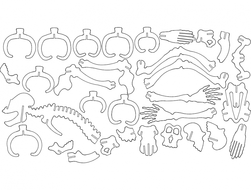 Skelett 3D Puzzle dxf File Free Download 3axis.co