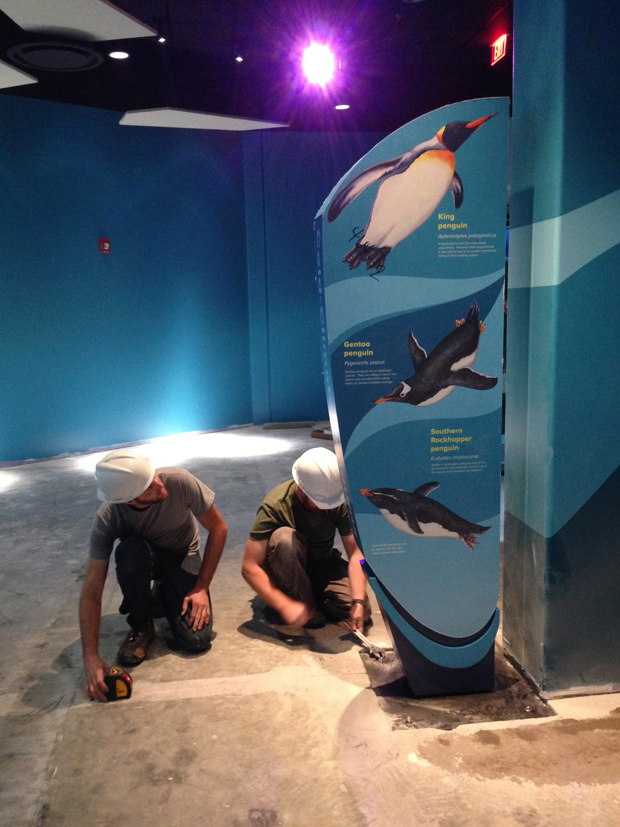 Kansas City Zoo Penguin Exhibit 3 Axis Inc.