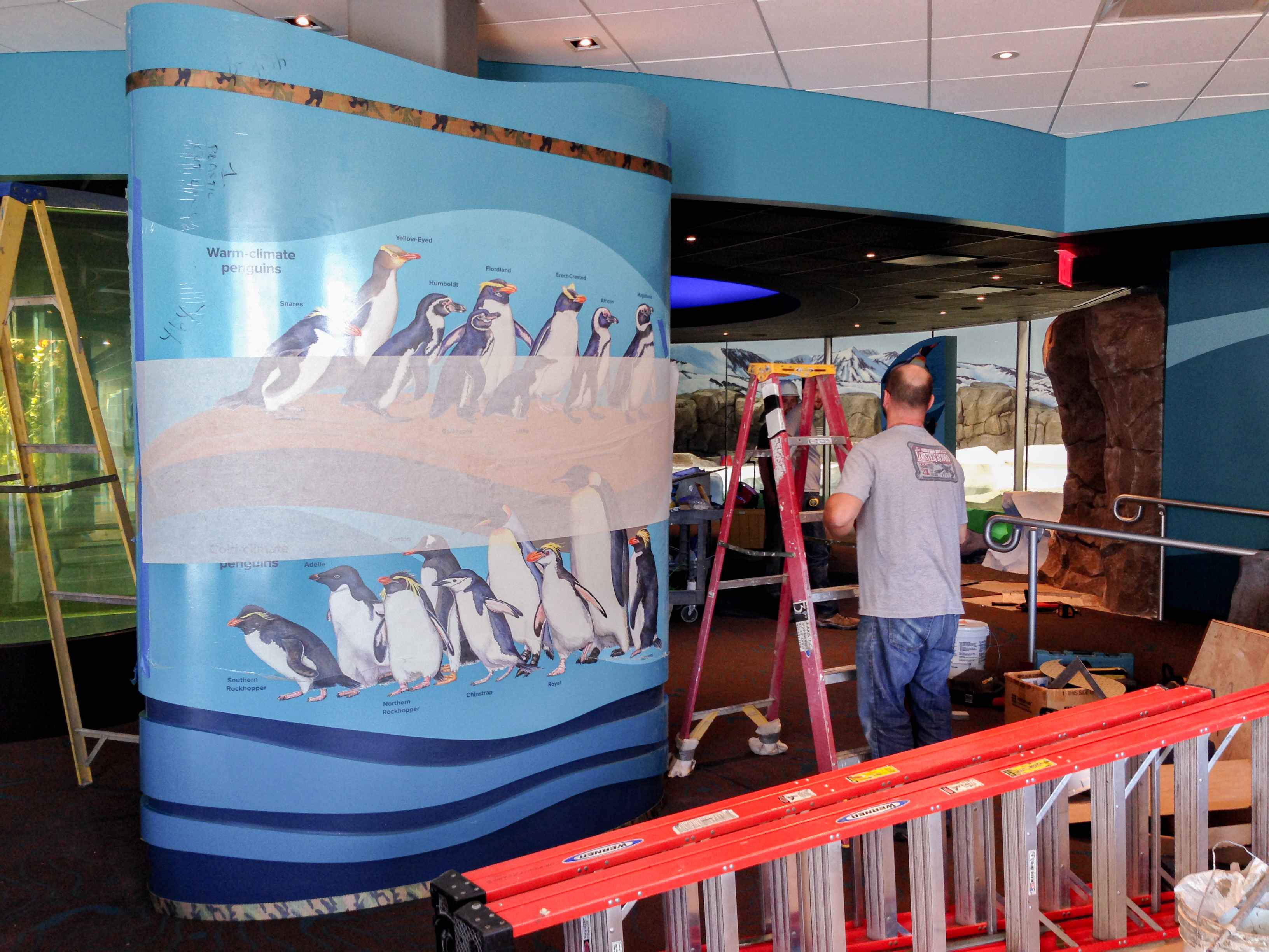 Kansas City Zoo Penguin Exhibit 3 Axis Inc.