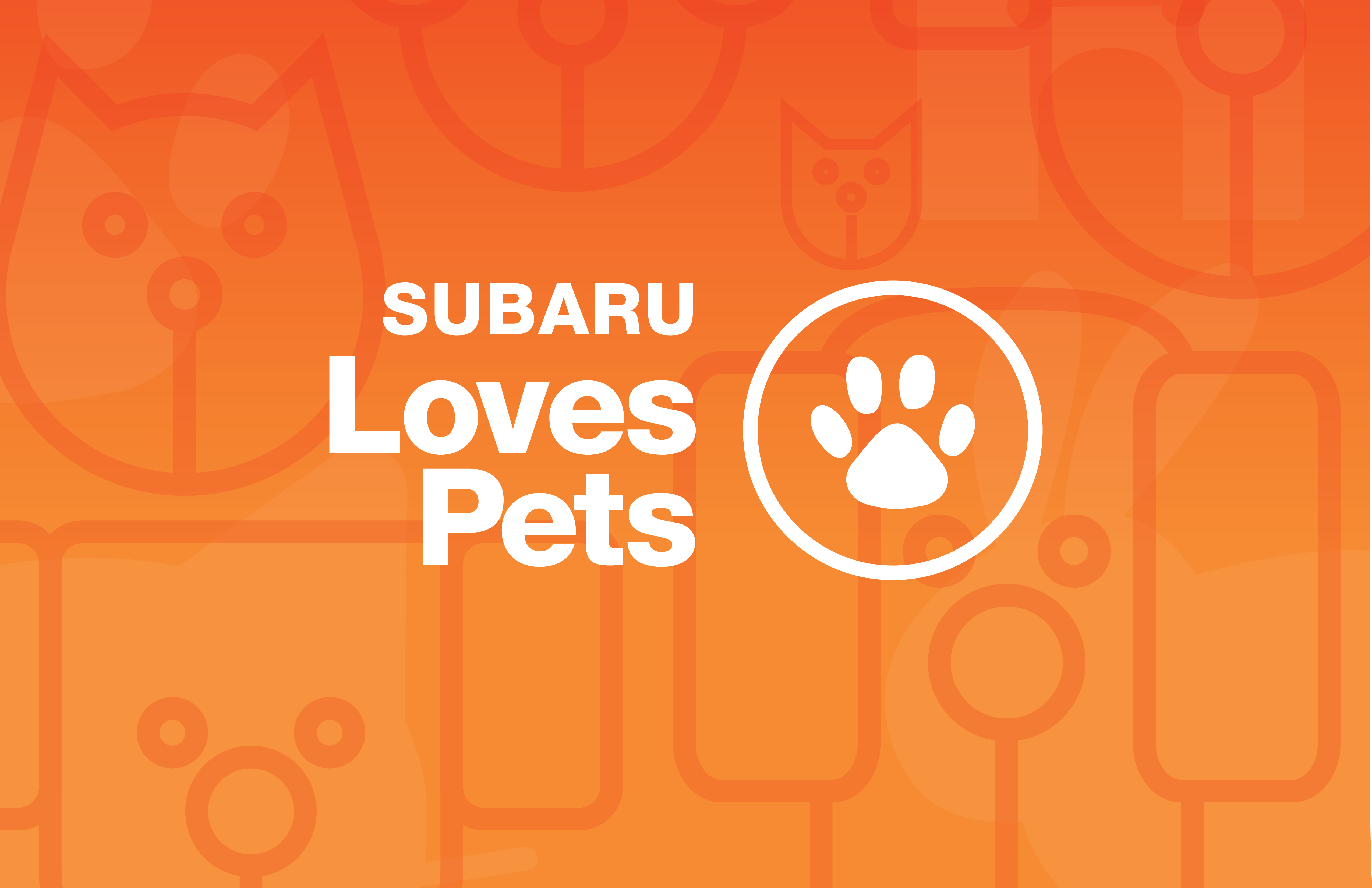 Subaru's Love Promise Pets
