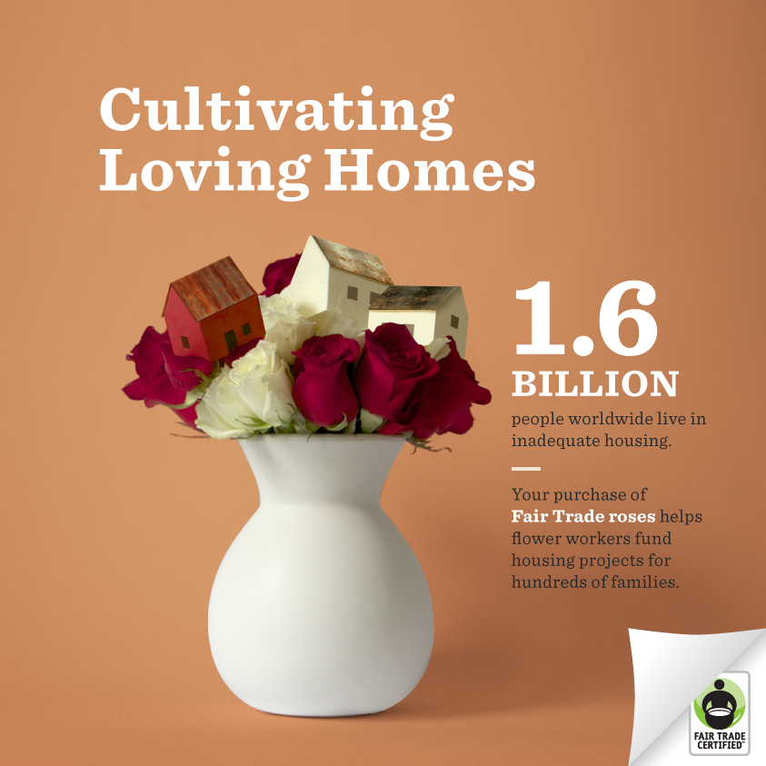 Cultivating Loving Homes With Fair Trade Flowers 3BL Media