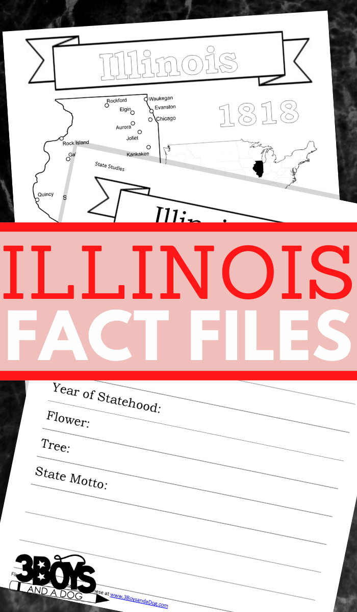 Illinois State Fact File Worksheets