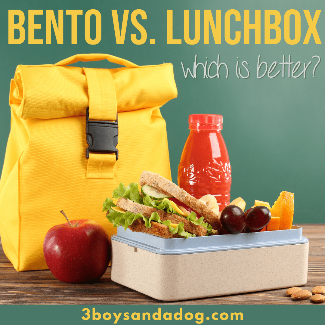 Bento Box vs. Regular Lunch Box 3 Boys and a Dog