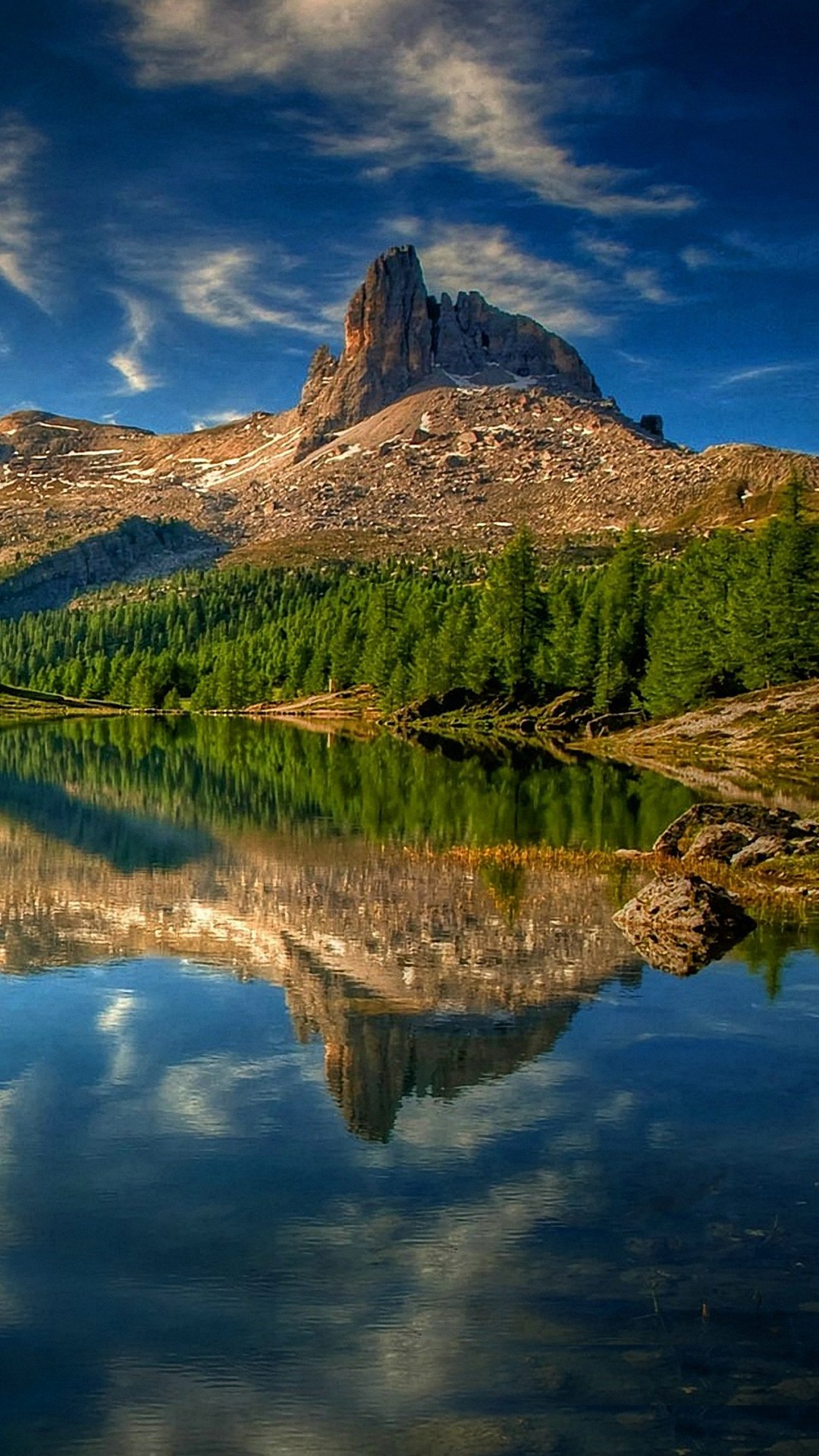 Android Wallpaper Gallery 2021 Android Wallpapers