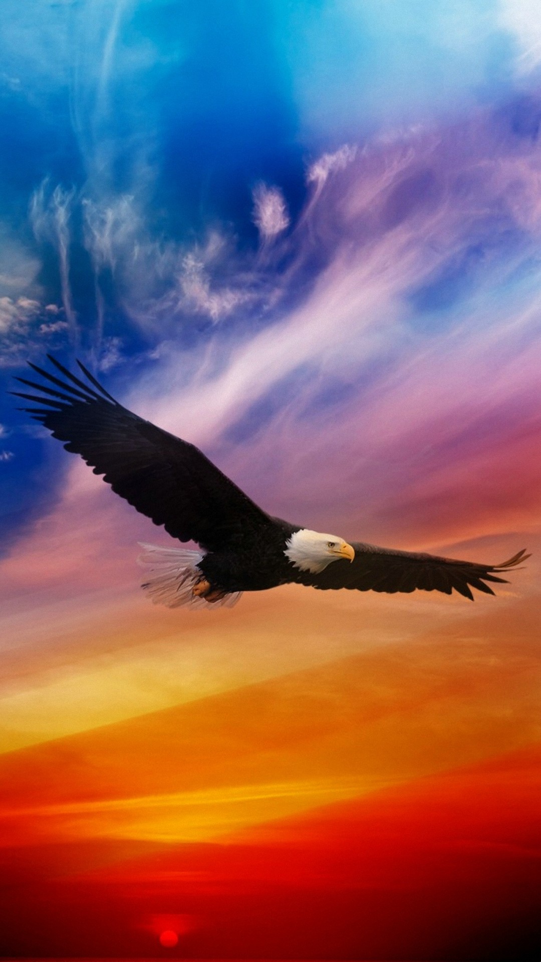 Eagle Android Wallpaper HD 2023 Android Wallpapers