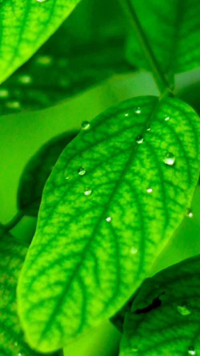 Street Art Wallpaper Android 2022 Android Wallpapers