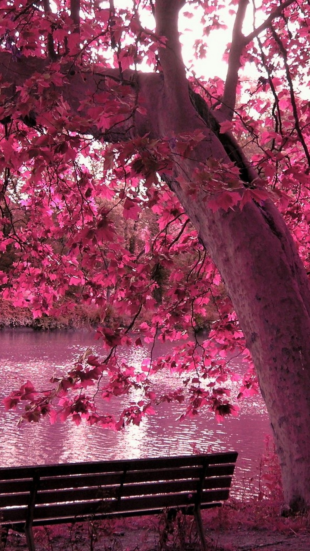 Download Wallpapers Spring Nature