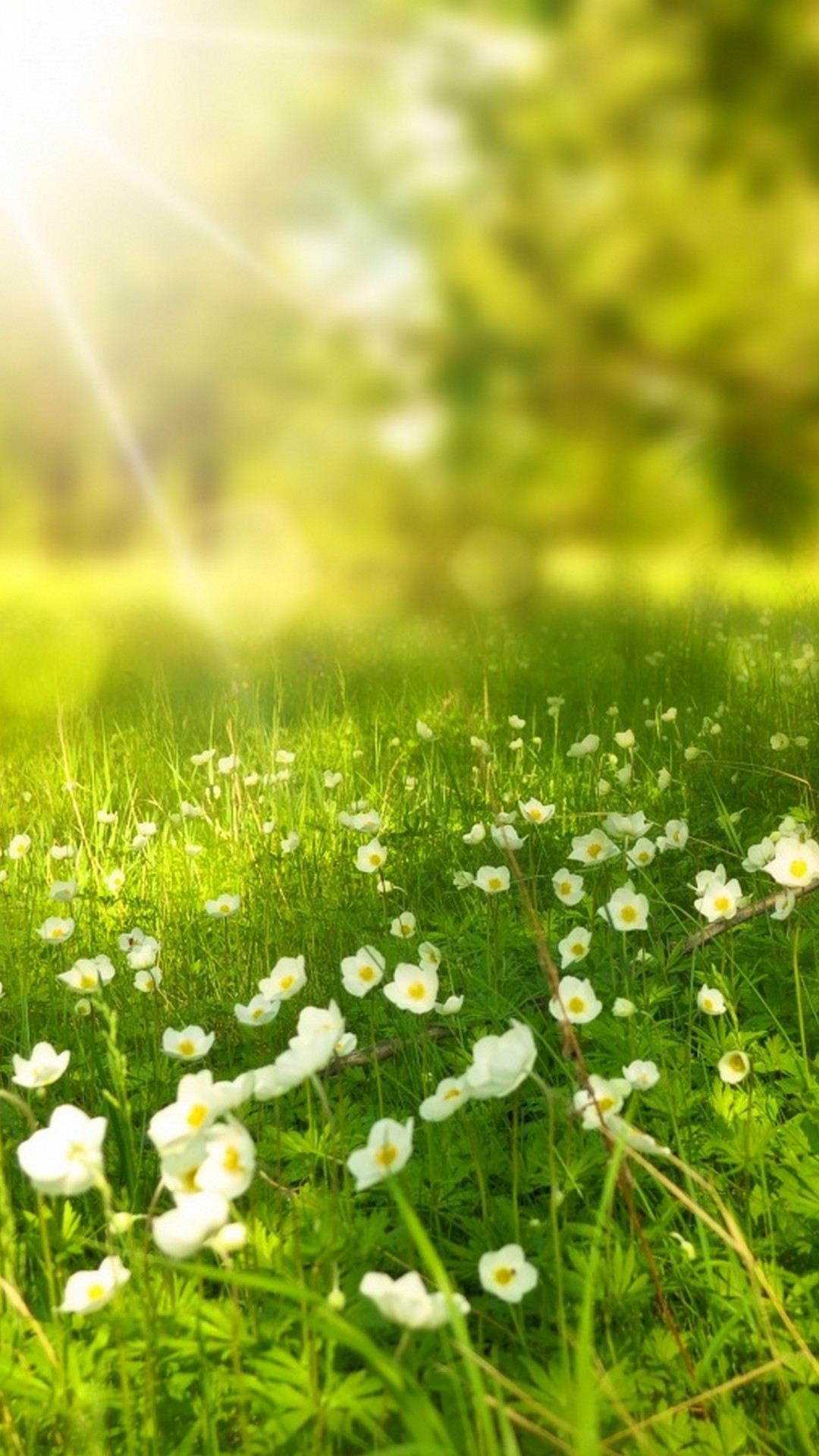 Wallpapers Beautiful Spring 2021 Android Wallpapers