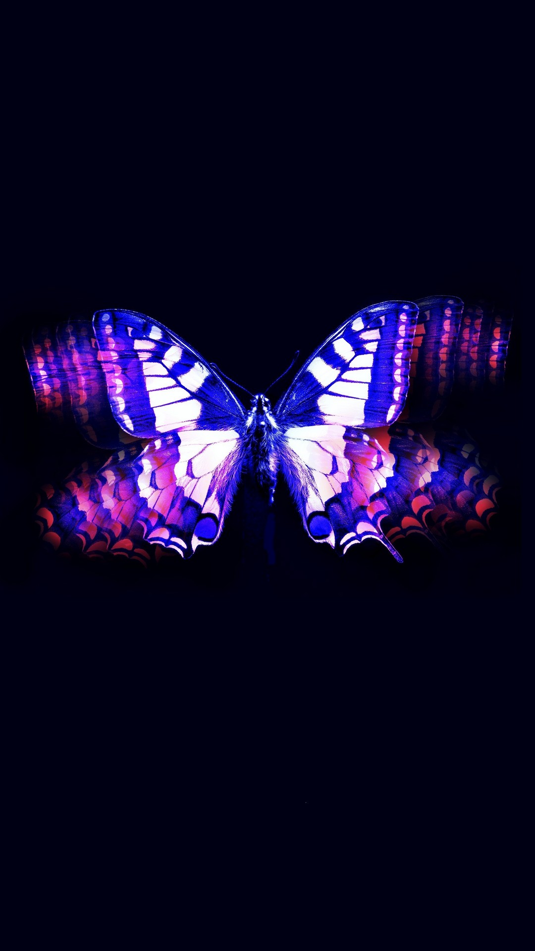 Wallpaper Android Blue Butterfly 2021 Android Wallpapers
