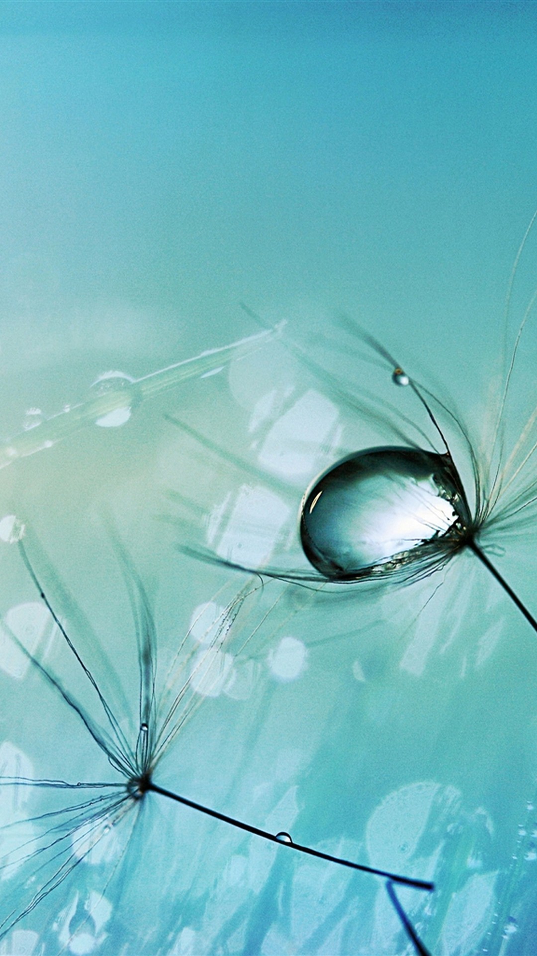 Mint Green Android Wallpaper 2021 Android Wallpapers