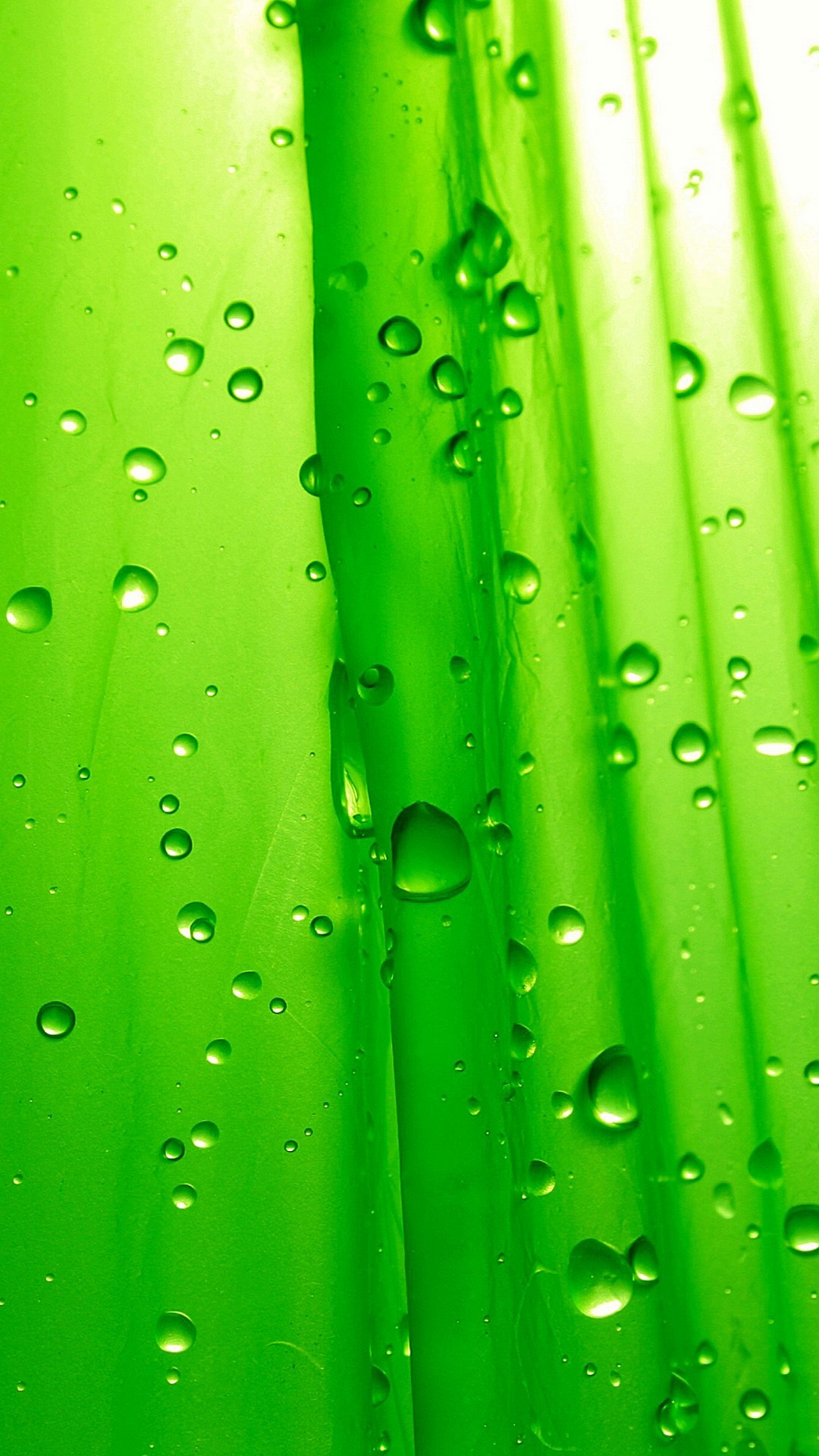 Neon Green HD Wallpapers For Android 2021 Android Wallpapers