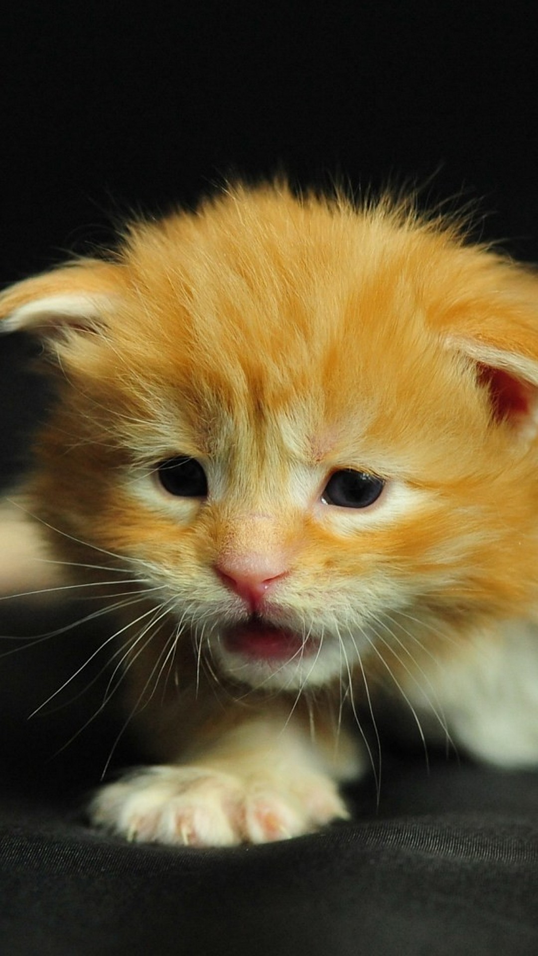 Wallpaper Android Cute Images 2021 Android Wallpapers