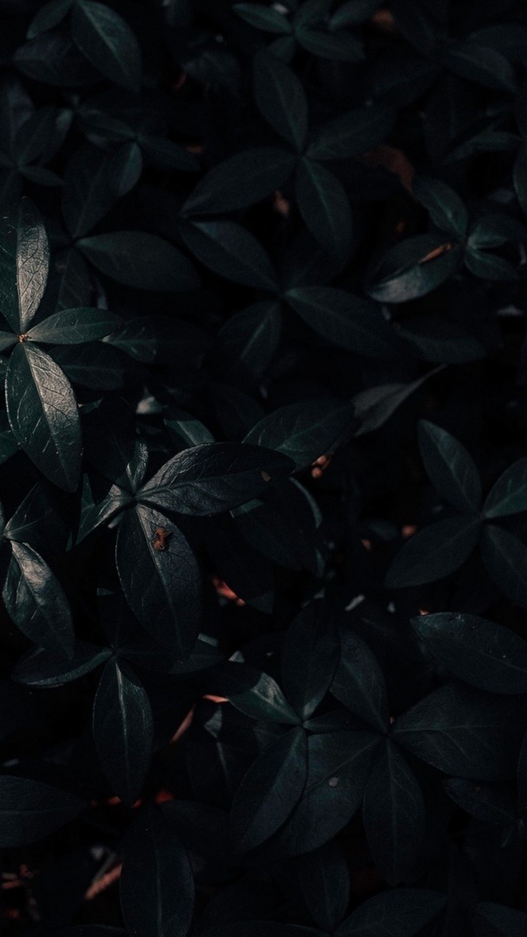 Wallpapers Phone Dark Aesthetic 2021 Android Wallpapers