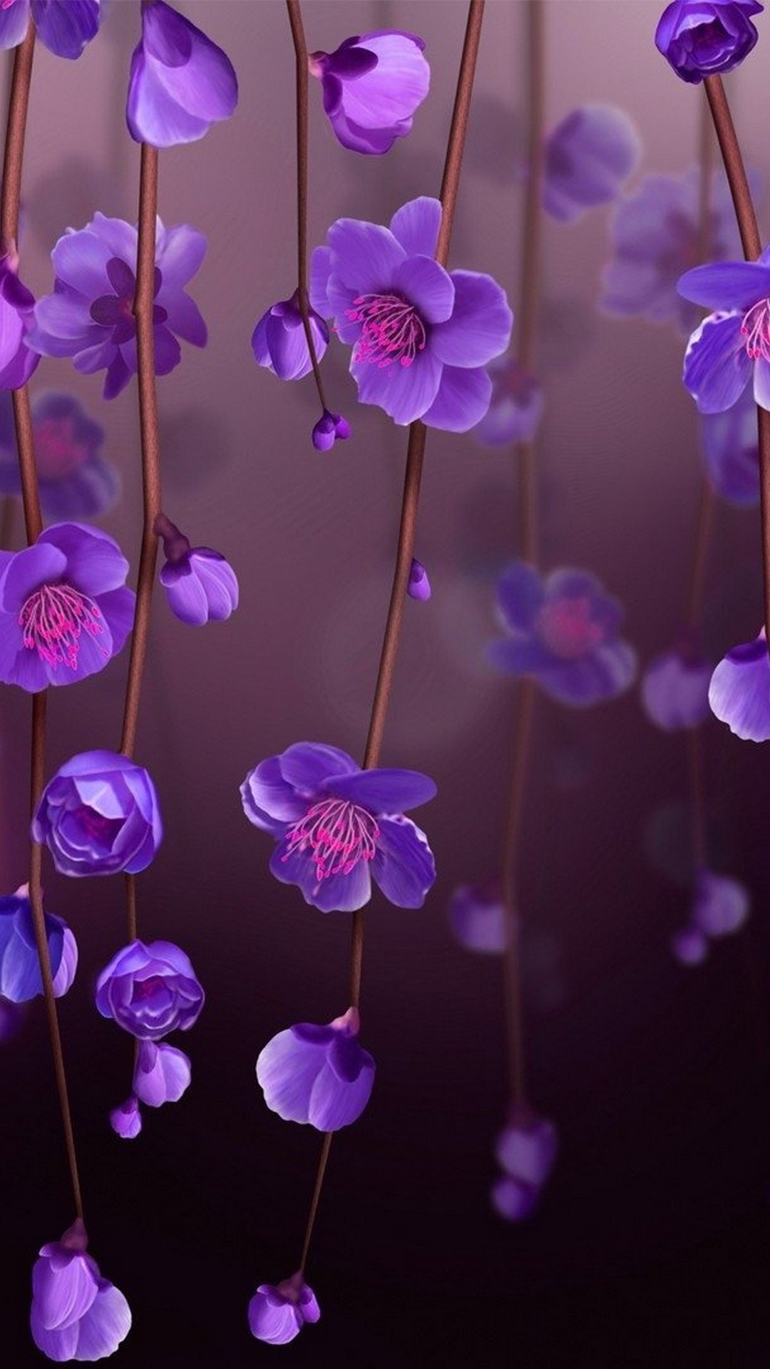 Flowers Purple HD Wallpapers For Android 2024 Android Wallpapers