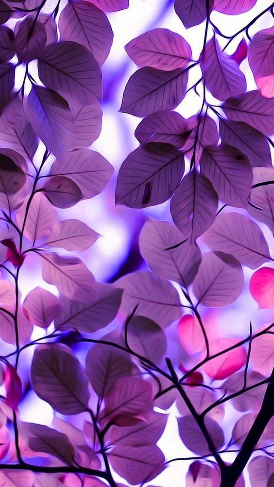 Wallpapers Phone Purple 2021 Android Wallpapers