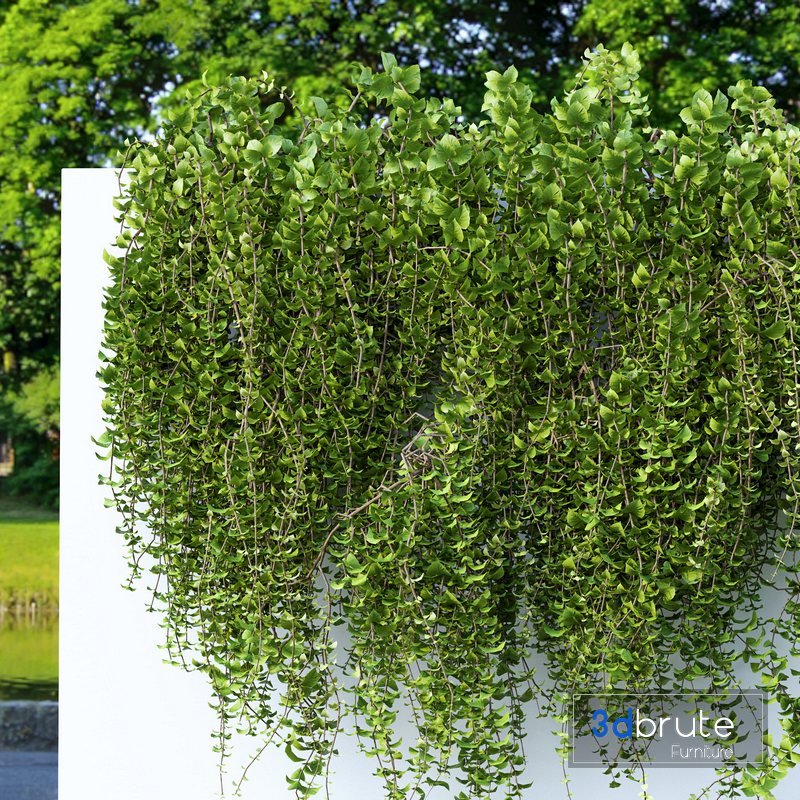 Wall Artificial Hanging Plants01 3d model Buy Download 3dbrute