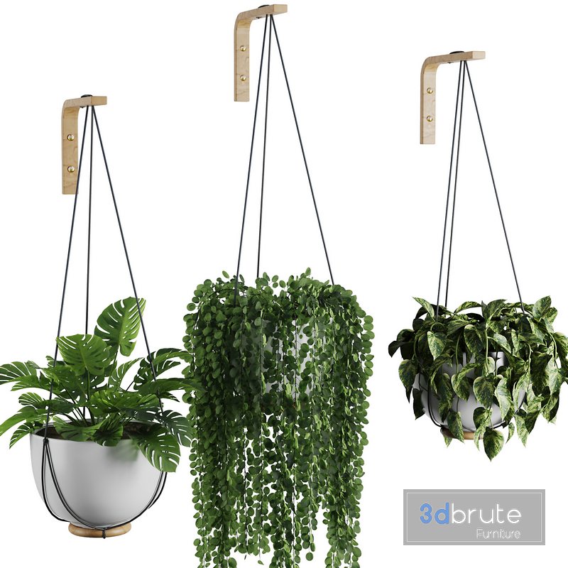 Hanging Indoor Plant SetV3 3d model Buy Download 3dbrute