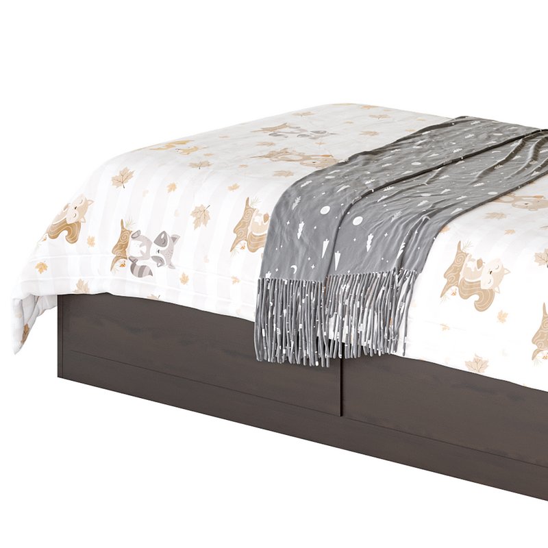 Mainstays Mates Storage Bed with Bookcase Headboard 3d model Buy