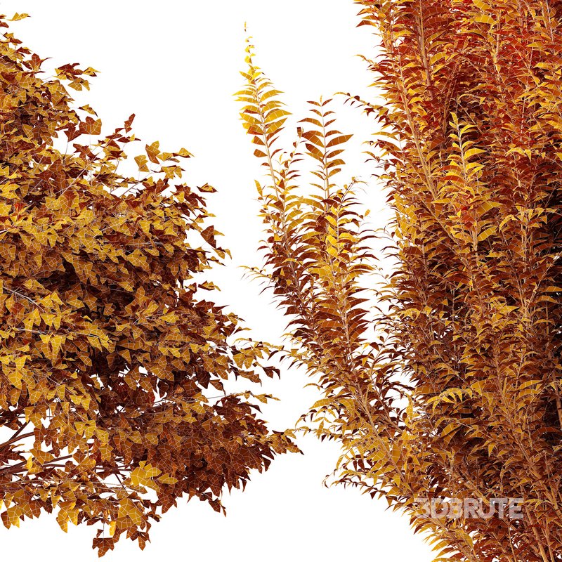 Gray alder alnus incana and Pollard willow 3d model Buy Download 3dbrute