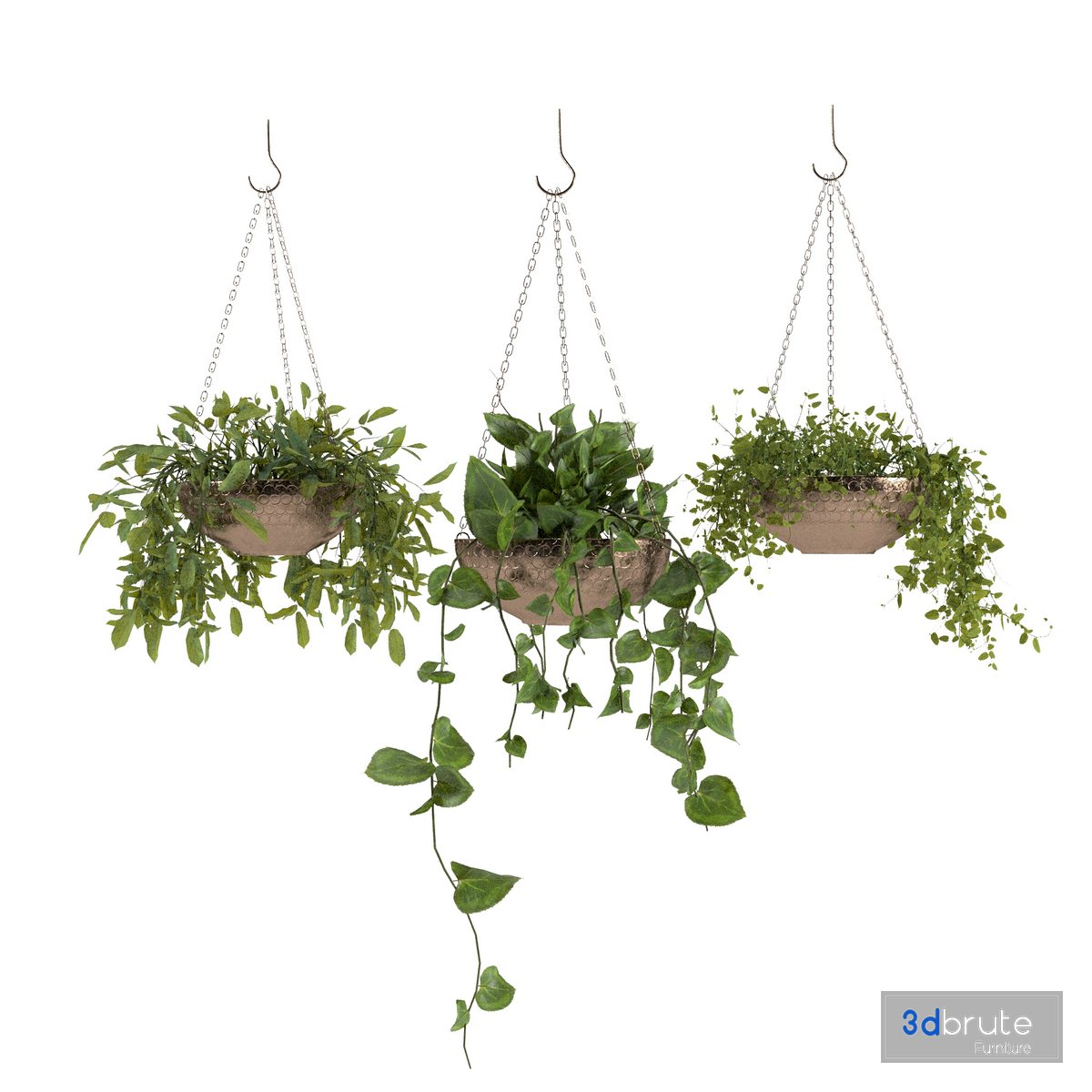 Hanging Plants 3d model Buy Download 3dbrute