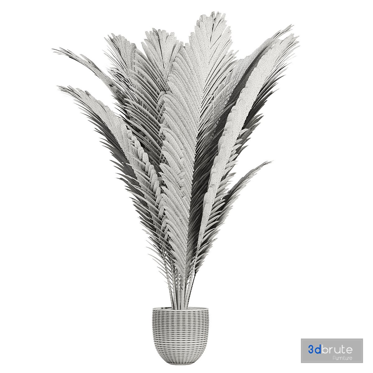 palm indoor plant 3d model Buy Download 3dbrute