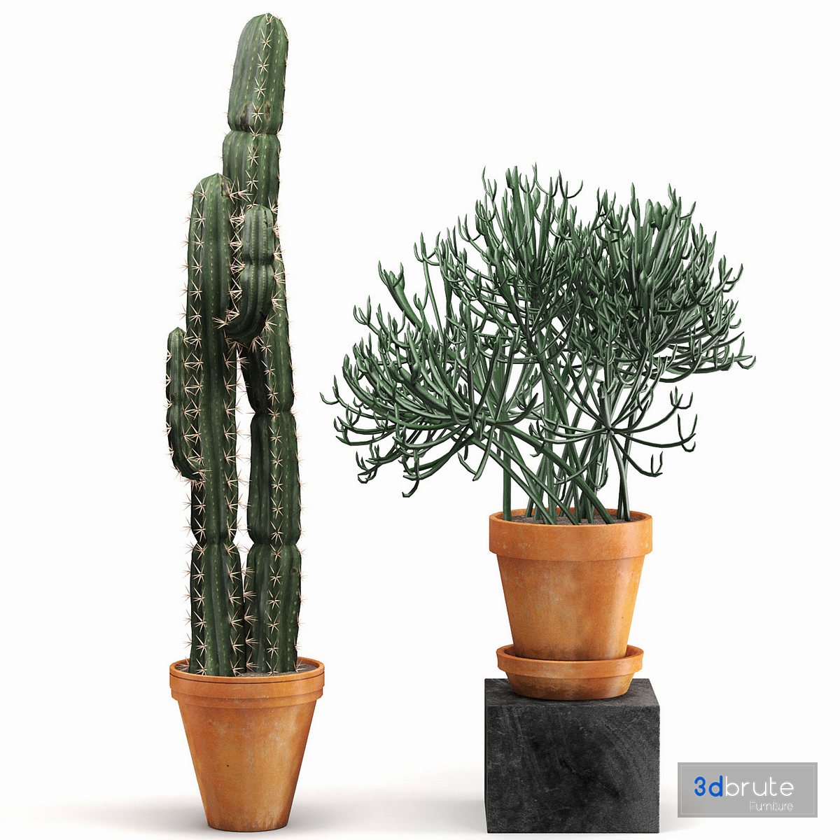 Indoor Plants Cactus In Clay Pot Set 04 3d model Buy Download 3dbrute