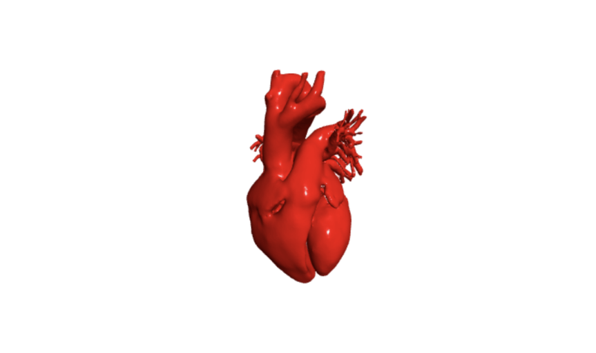 3D Hearter