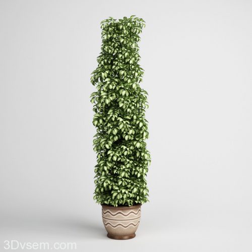 Ivy Flower With Flower Pot 3d Model 3dhunt Co