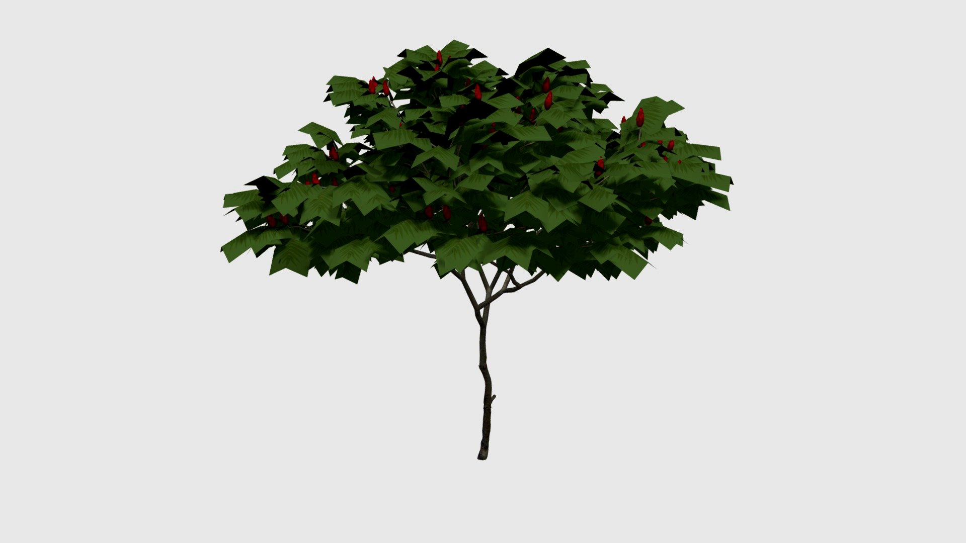 Tree for Blender 3d model