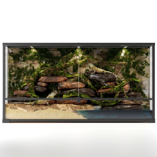 Terrarium Agama 3d model