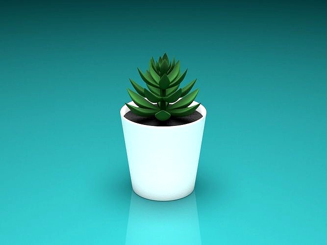 small plant pot 3d model