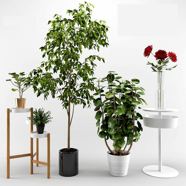 Ikea plants set (102709) 3d model
