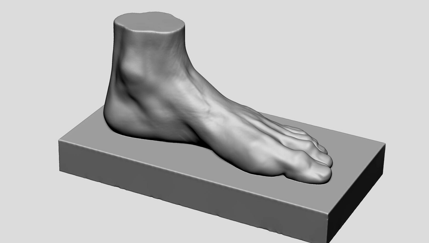 Foot Printable 3d model