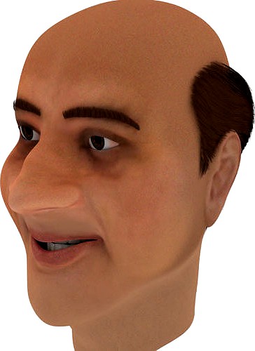 Low Poly Old Man Hair 3d Model