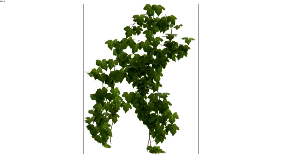 ROCKIT3D Ivy wall 0001 model