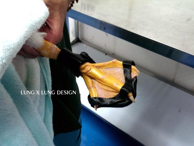 QuackQuack The Duck Walks Again Thanks to a 3D Printed Leg Brace