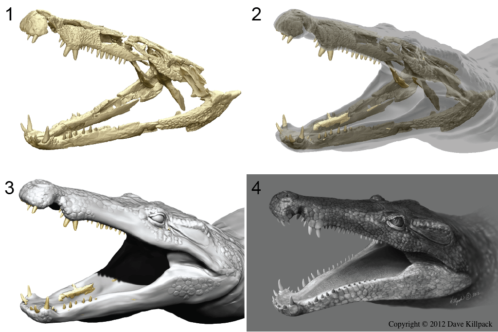 Reconstructing a Newly Discovered Extinct Species of Crocodilian Using