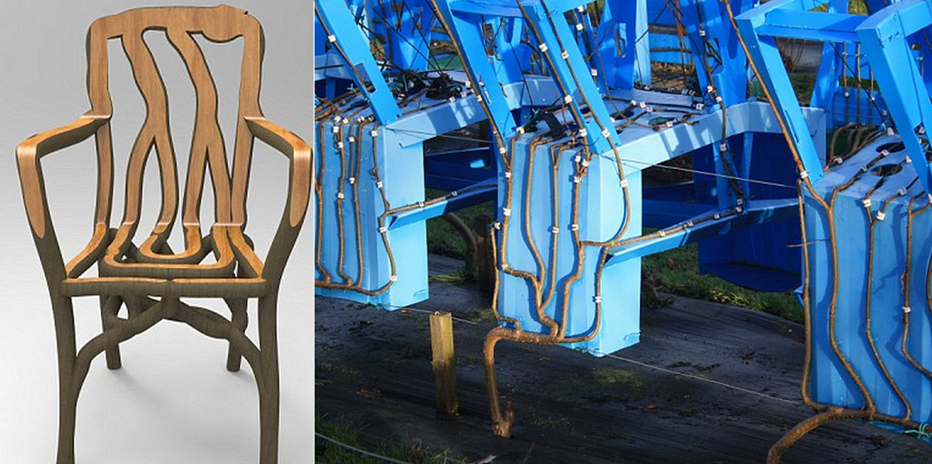 Using Nature to "3D Print" Wood Furniture the Old Fashioned Way