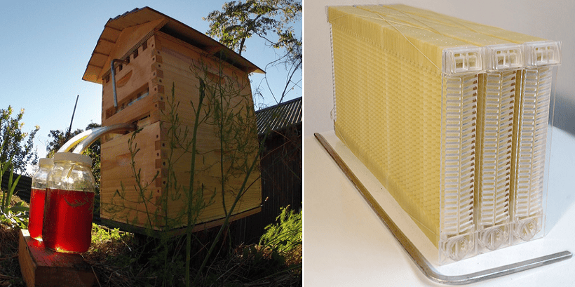 3D Printed Allow Beekeepers to Get Honey "On Tap" Over 12